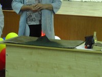 �����������